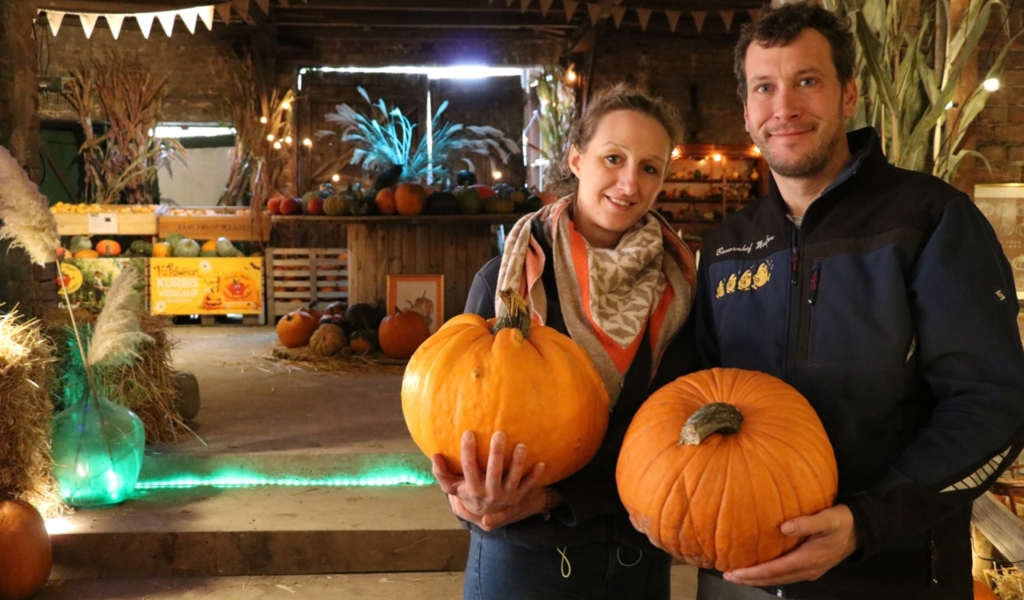 In Vorbereitung auf Halloween Großes Kürbisfest steht vor der Tür